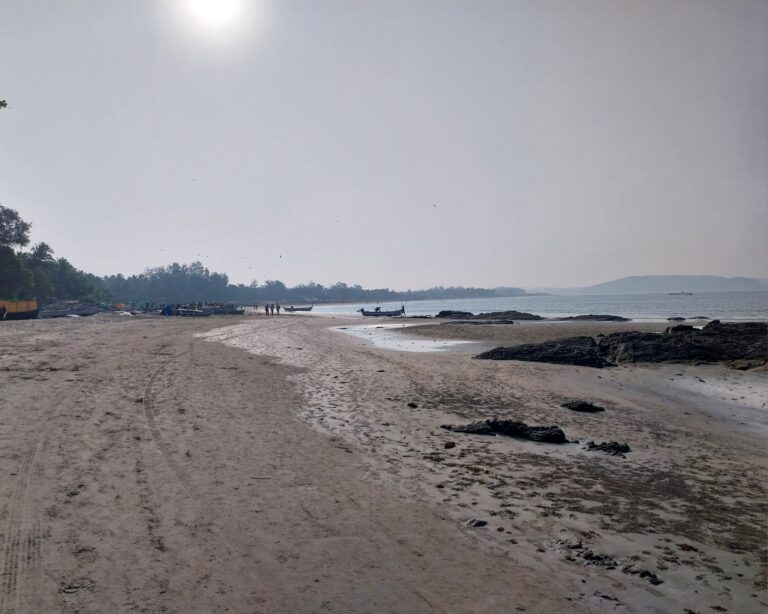 IMG-20260211-WA0033